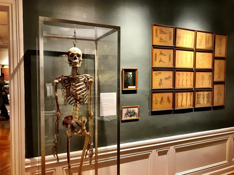 International Museum of Surgical Science