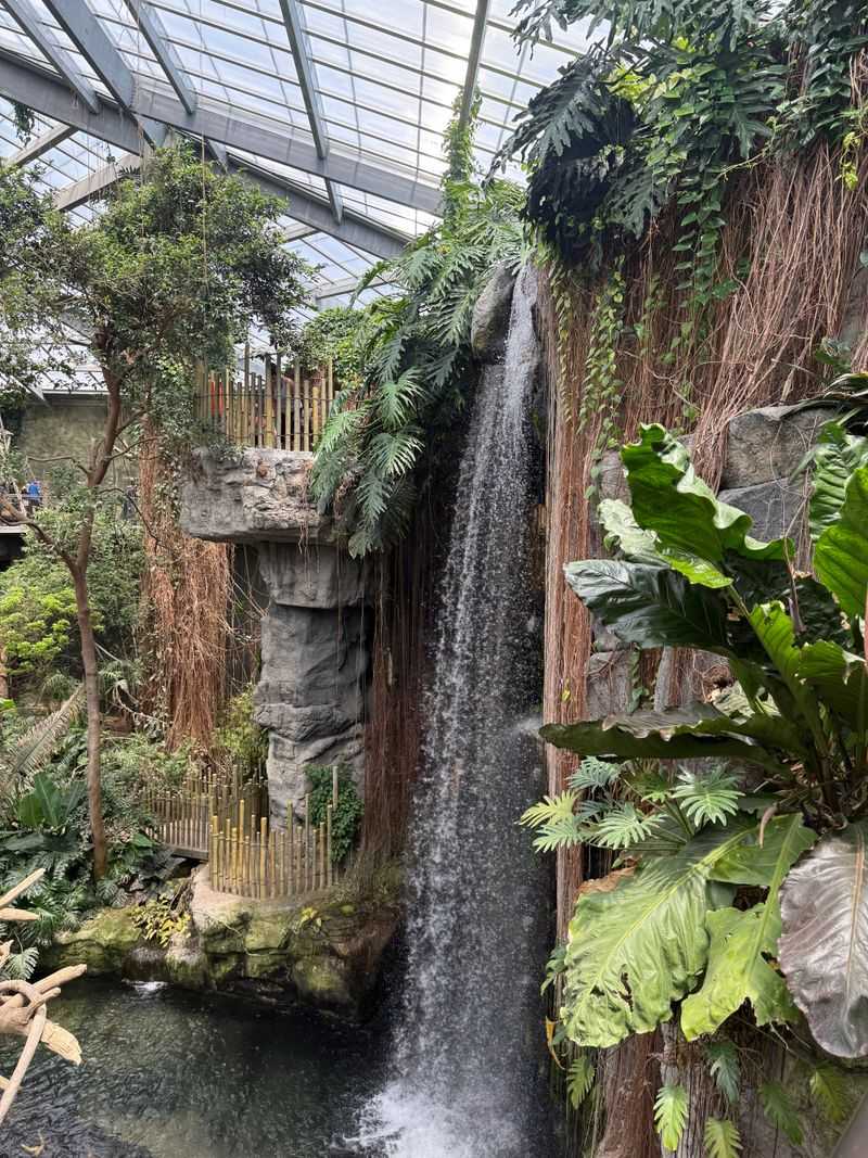 Butterfly and Insect Magic