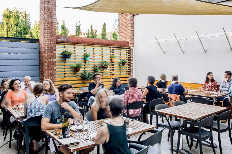 Daisies (Logan Square)