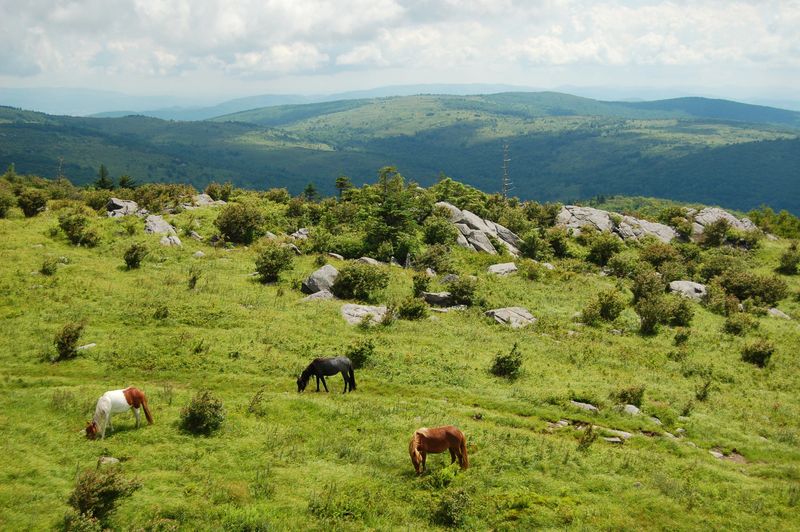 Gateway to Great Outdoors