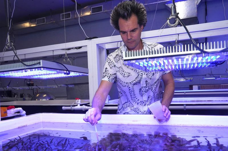 How to support or learn more