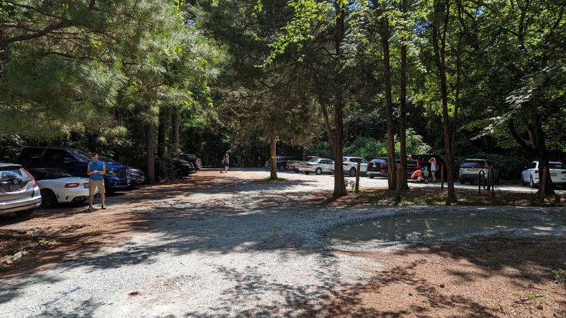 Free and Public Access