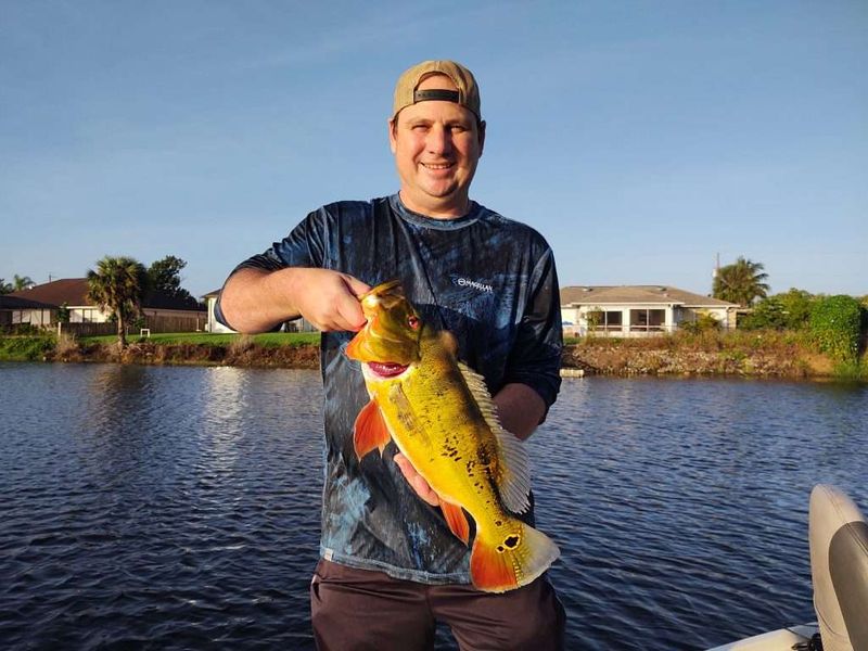 Canals, Creeks, and Backyard Wildlife Corridors