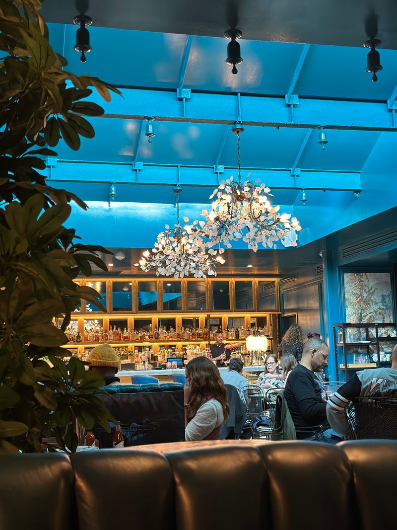 Plan Your Visit: Hours, Vibe, and Tips