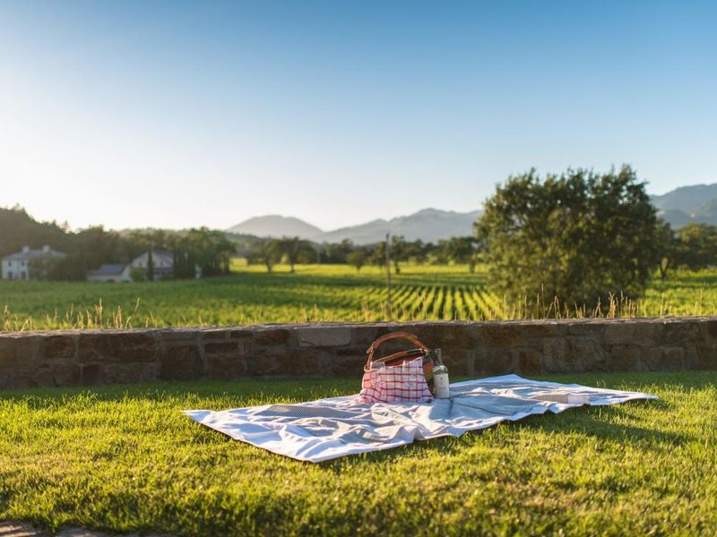 Picnic among the vines at V. Sattui (St. Helena)