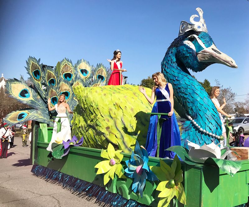 The Peacocks Are Local Celebrities