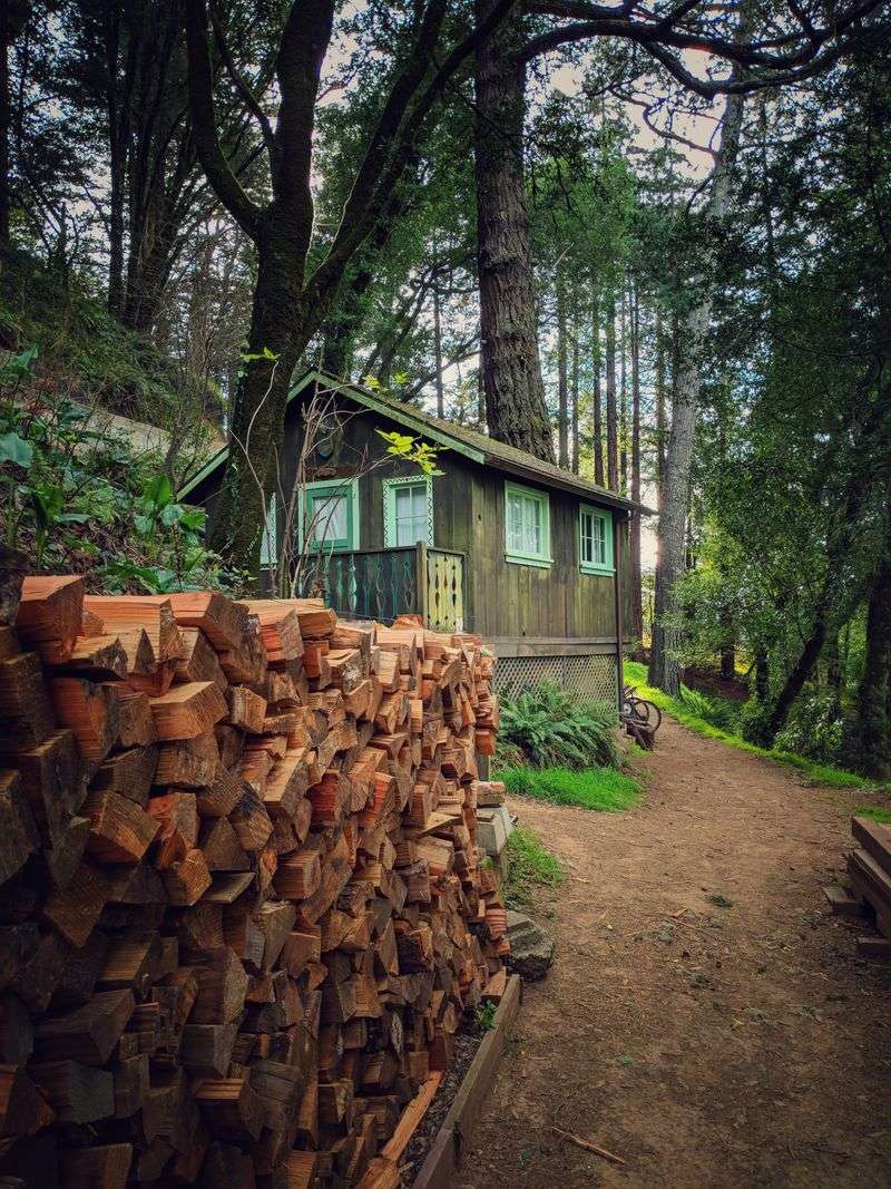 Membership and Volunteering