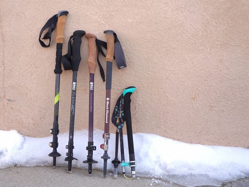Premium trekking poles: Black Diamond Alpine Carbon Cork → Budget: Cascade Mountain Tech Carbon Fiber
