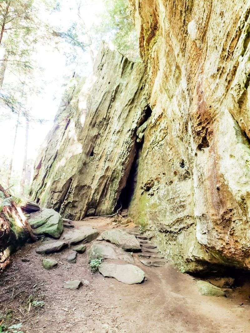 Expect a 1.5 to 2 Mile Round-Trip Hike