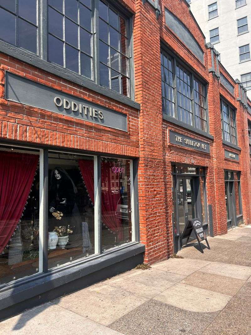 Interactive Fortune Teller Machine and Vintage Arcade