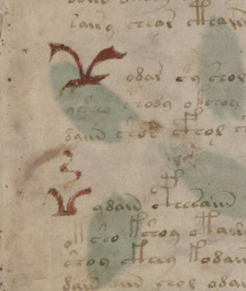 Voynich Manuscript