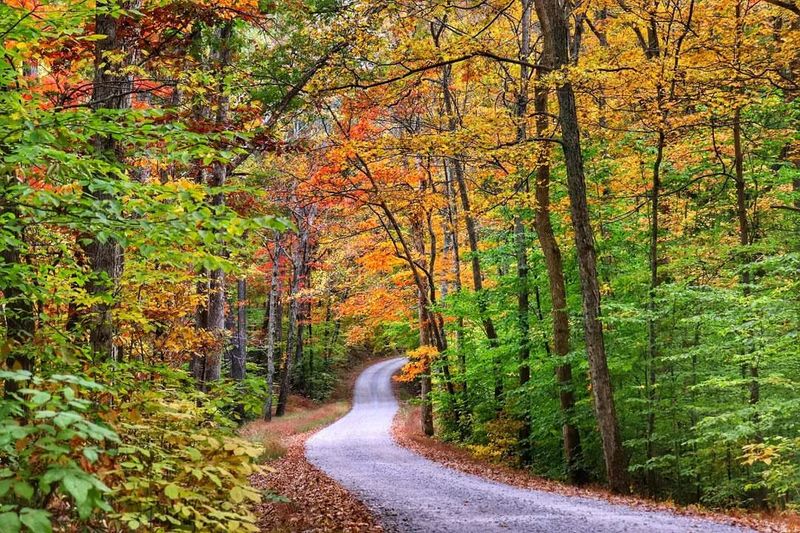 Best Times to Visit & Tips