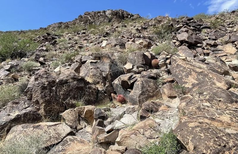 Sloan Canyon Petroglyph Flats (Speckled Rattlesnake)