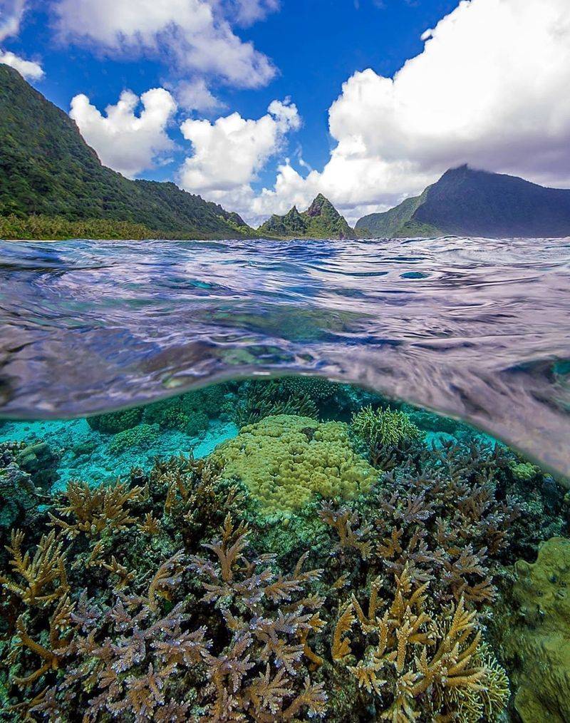 Cited as safest U.S. national park in one index