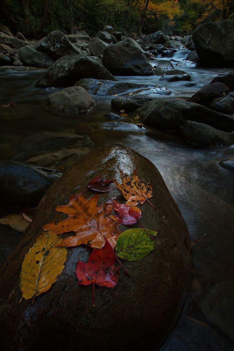 Photographer’s Sweet Spots