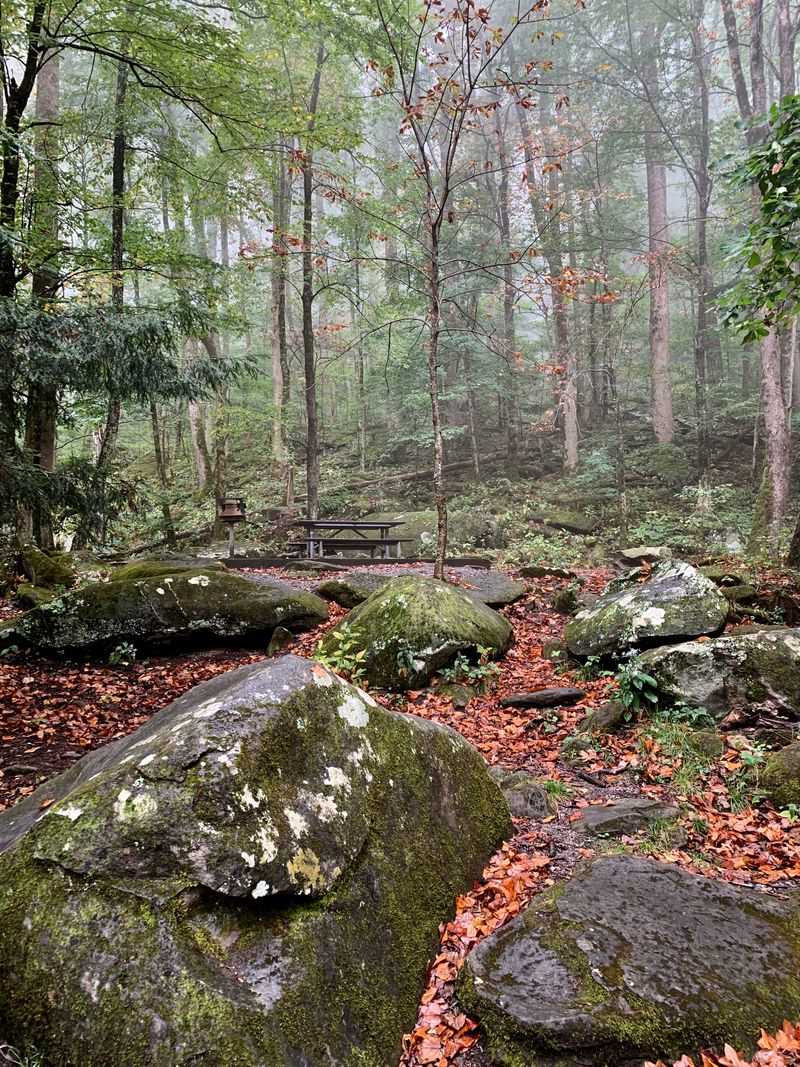 Timing Your Visit For Calm