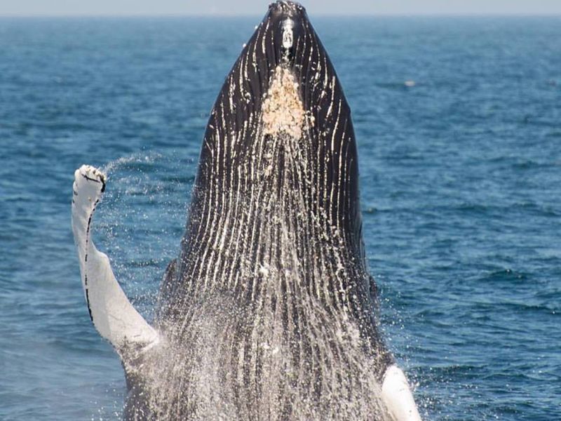 Montauk, New York (East End, Long Island)