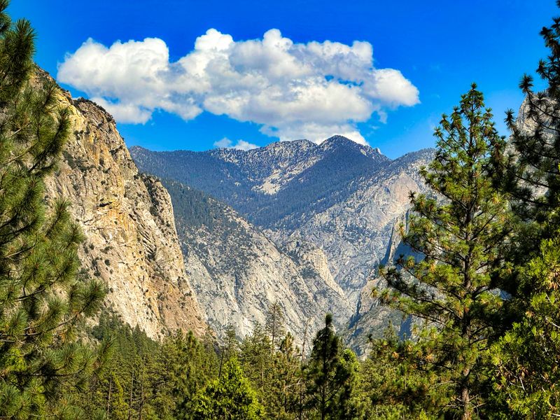 Sequoia & Kings Canyon National Parks (California)