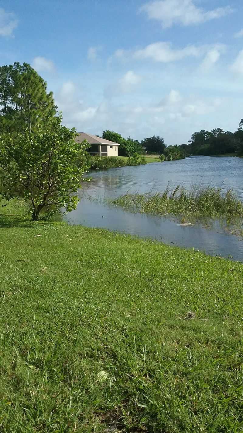 Fishing From Your Backyard