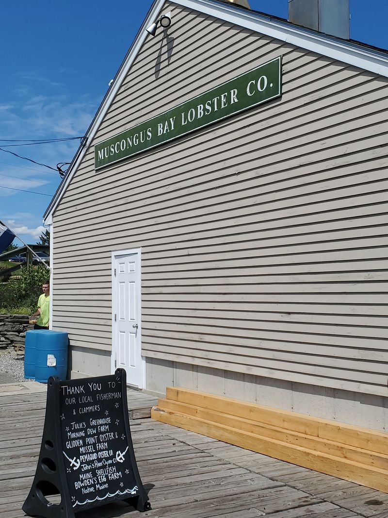 Muscongus Bay Lobster - Round Pond