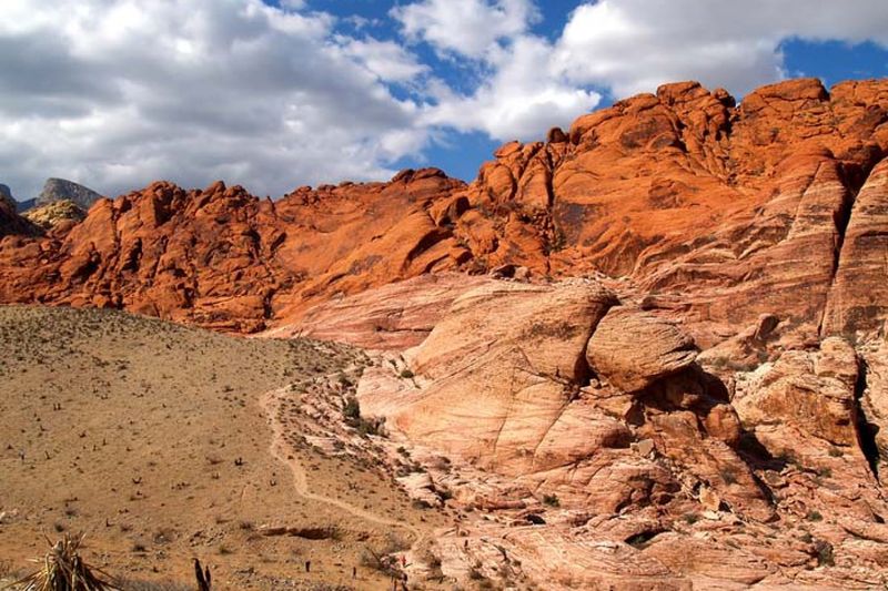 Red Rock Canyon Cliffs (Speckled Rattlesnake)