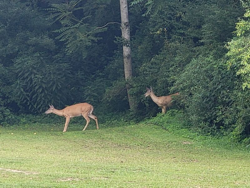 It’s run by volunteers and community effort.