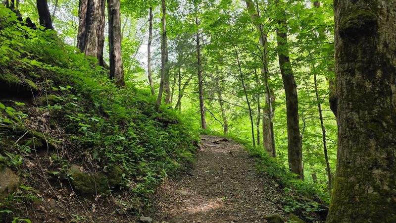 Easy Nature Walks Nearby