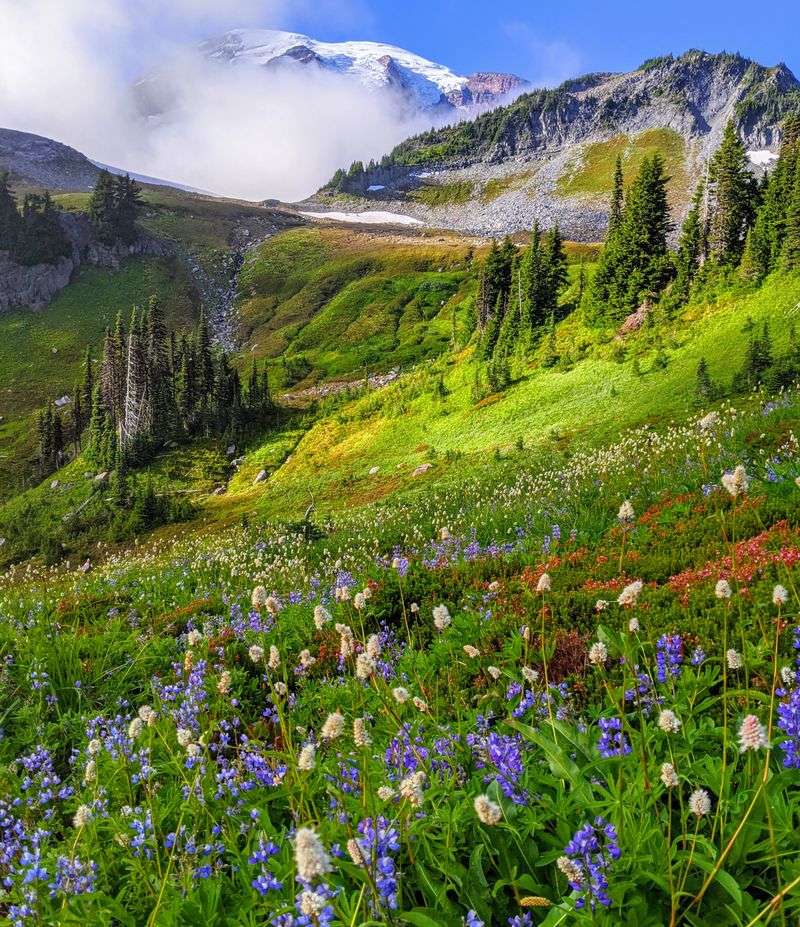 What this means for climate