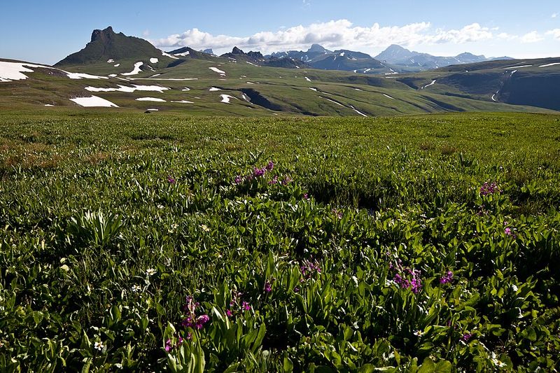 Uncompahgre Wilderness