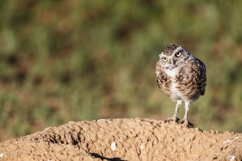 Photograph with respect and intention