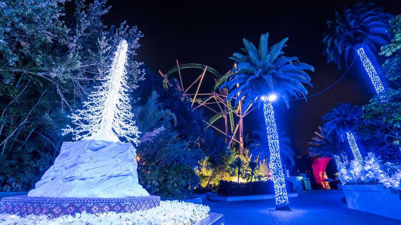 Busch Gardens Tampa Bay – Christmas Town (Nov 14, 2025 – Jan 5, 2026)