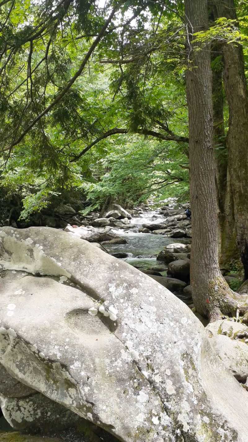 How To Snag Quiet Even When Busy