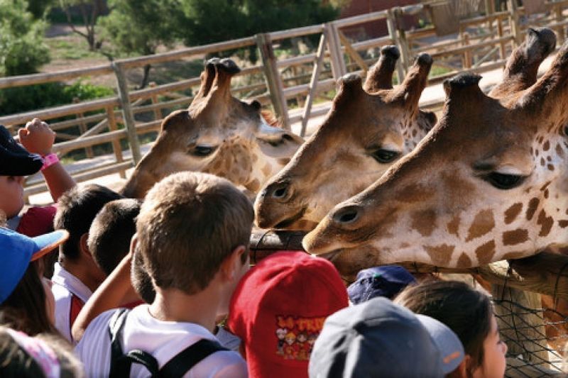 Family time at Terra Natura Murcia (open in winter)