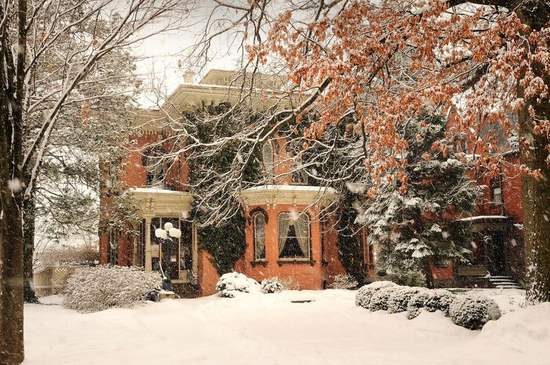 Onion Soup That Melts Stress