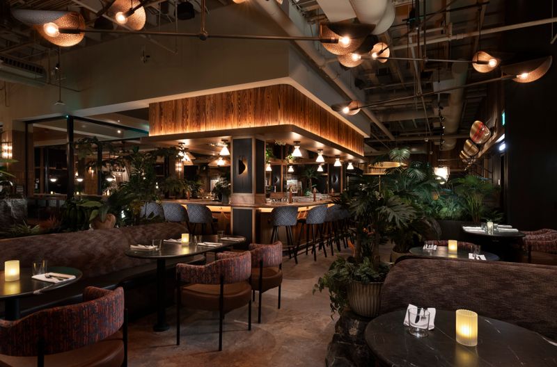 Room, Lighting, and Vibe