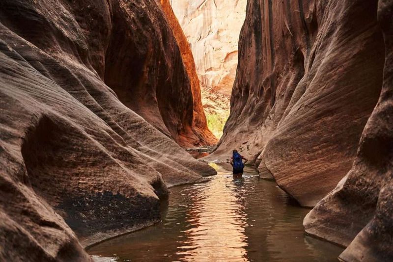 Halls Creek Narrows, Capitol Reef NP, UT
