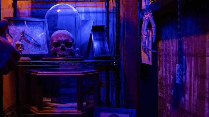 Haunted Objects and EMF Reader Experience