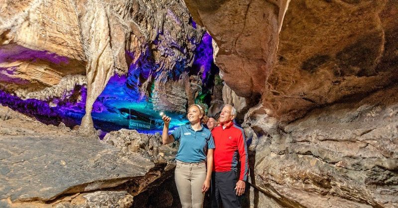 Early Visitor Attraction