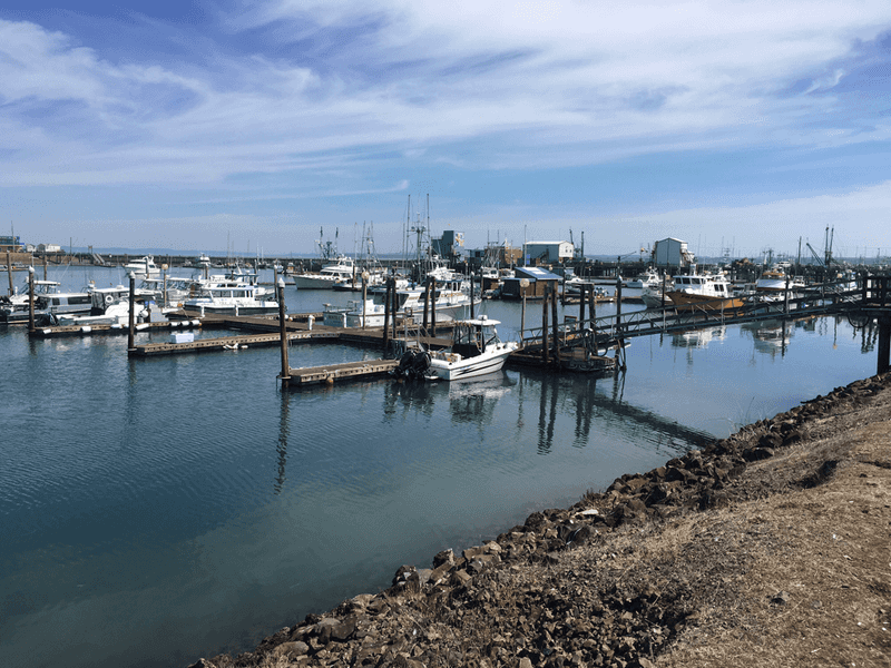 The Westport Setting