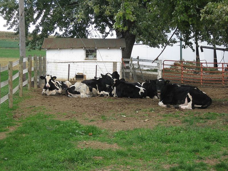 Intercourse, Pennsylvania