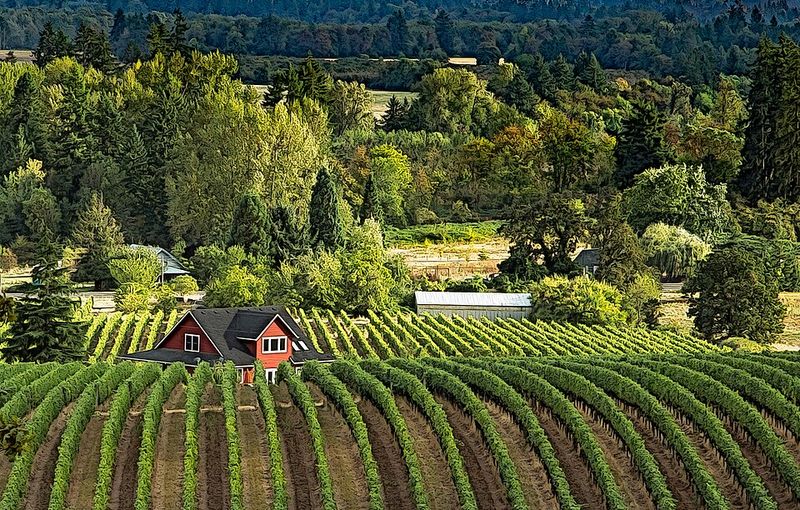 Willamette Valley Wine Country