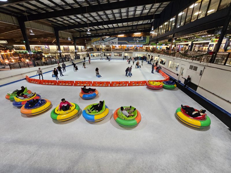 Year Round Ice Skating and Ice Bumper Cars