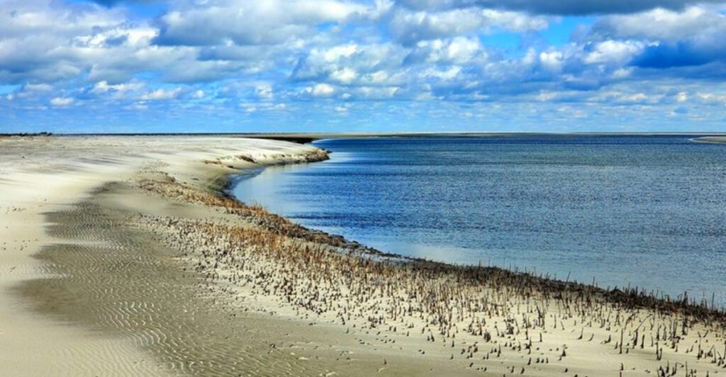 South Carolina’s Hidden Barrier Island That Feels Like a Peaceful Beach Escape