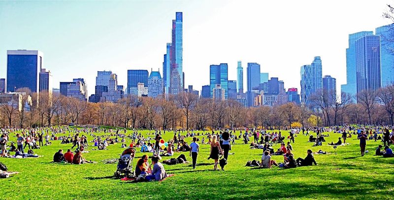 Throw Down a Blanket on Sheep Meadow