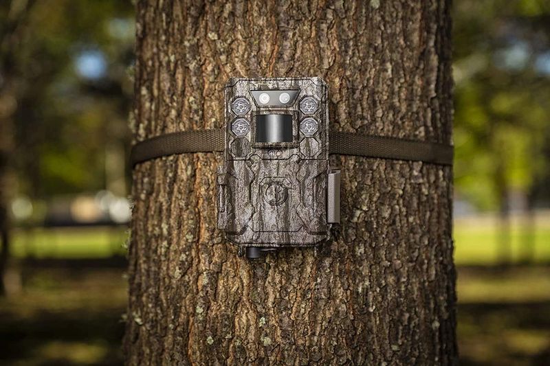 Bushnell Core DS Low Glow