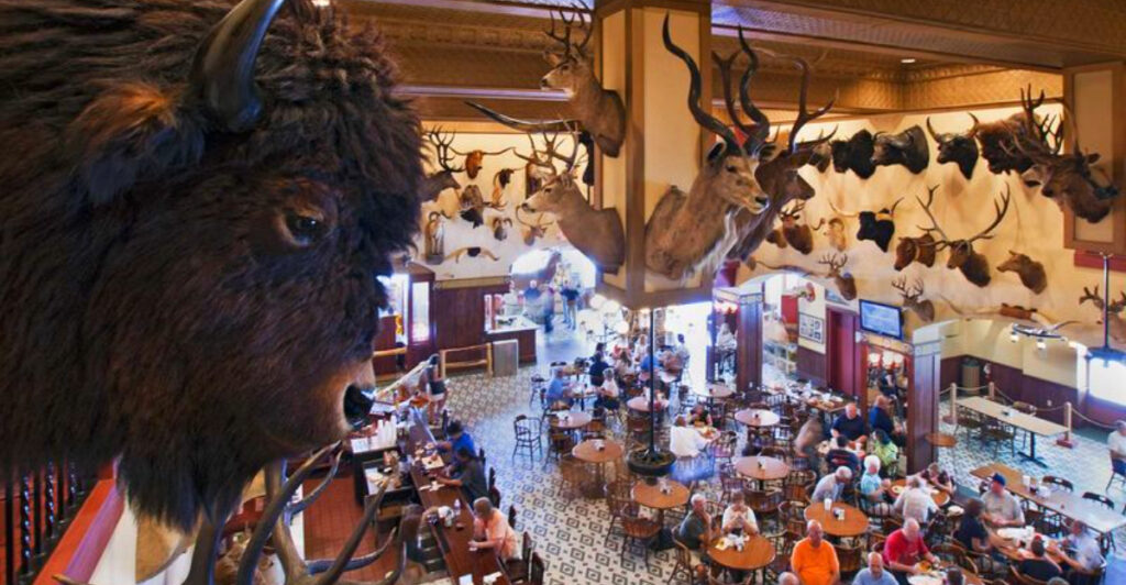 Step into Texas History: From Horns for Drinks to 40,000+ sq ft of Wild Curiosities at the Buckhorn Saloon & Museum