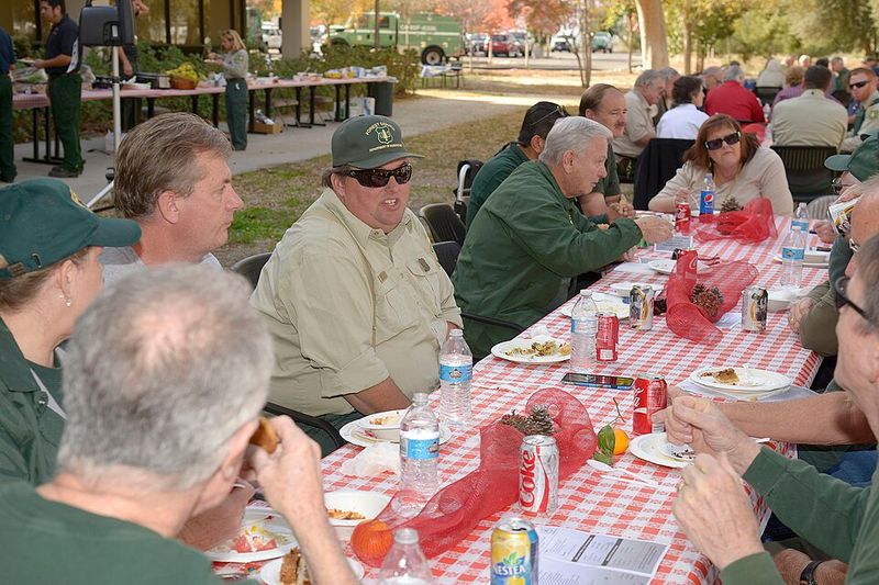 Deviled Eggs Past Their Prime
