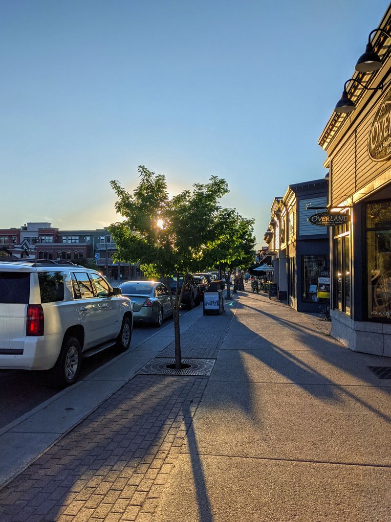 Downtown Lincoln Avenue Stroll