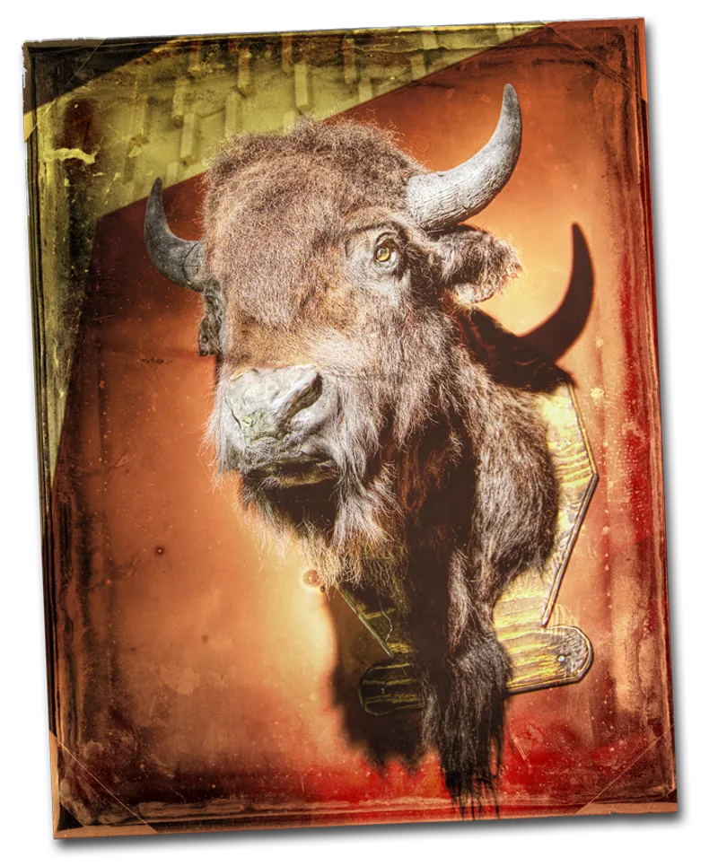 Explore the History at Plains Indians & Pioneers Museum