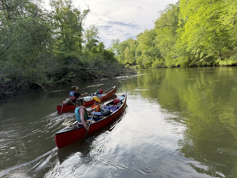 Float or Paddle the French Broad River